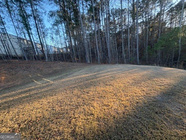 357 Indian Lake Trail Villa Rica - Photo 17