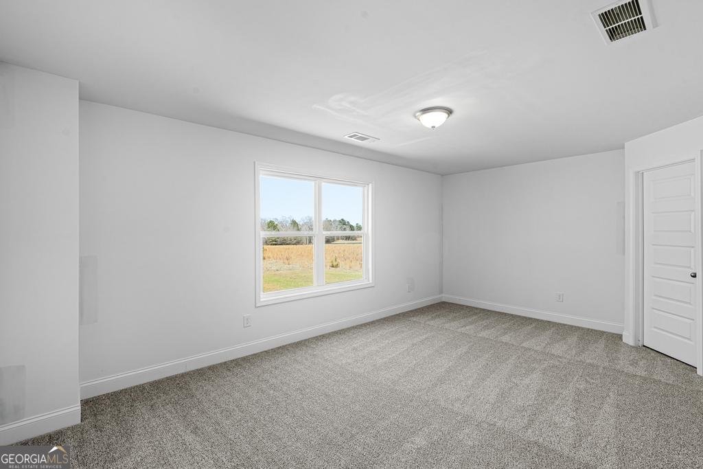 51 Oak Road Locust Grove - Photo 28