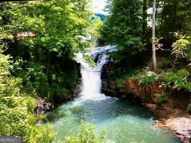 608 Moss Patch Trail Jasper - Photo 23