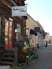 145 Old Highway 85 Senoia - Photo 38