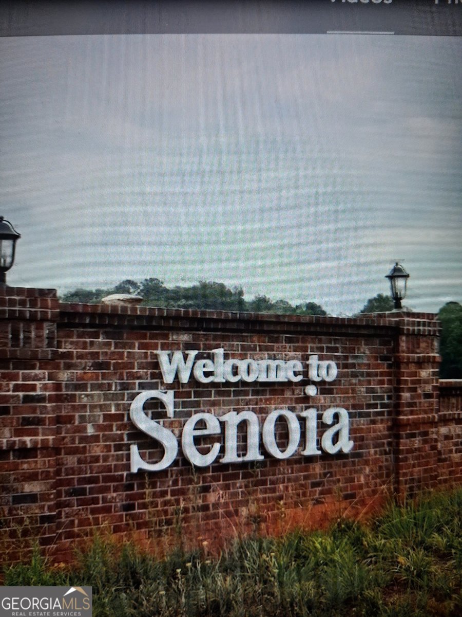 145 Old Highway 85 Senoia - Photo 39