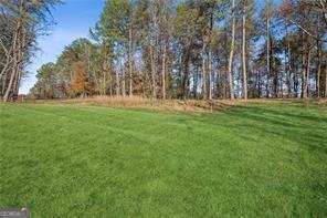 4546 FAWN Path Gainesville - Photo 53