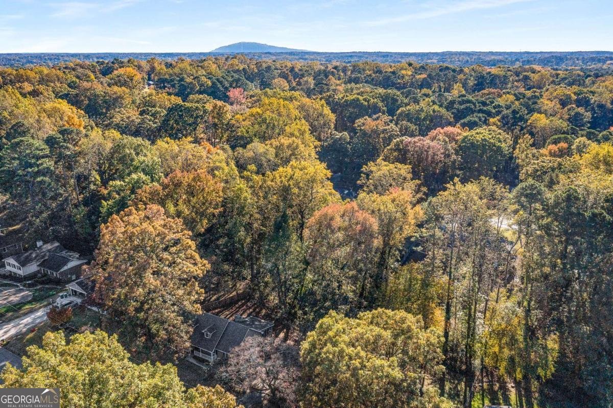 445 Bruce Way Lilburn - Photo 53