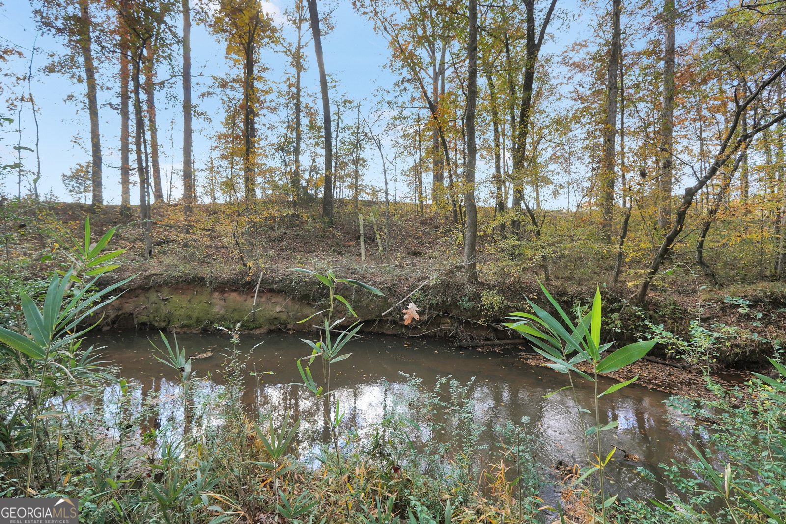 196 Magnolia Trace Milner - Photo 48