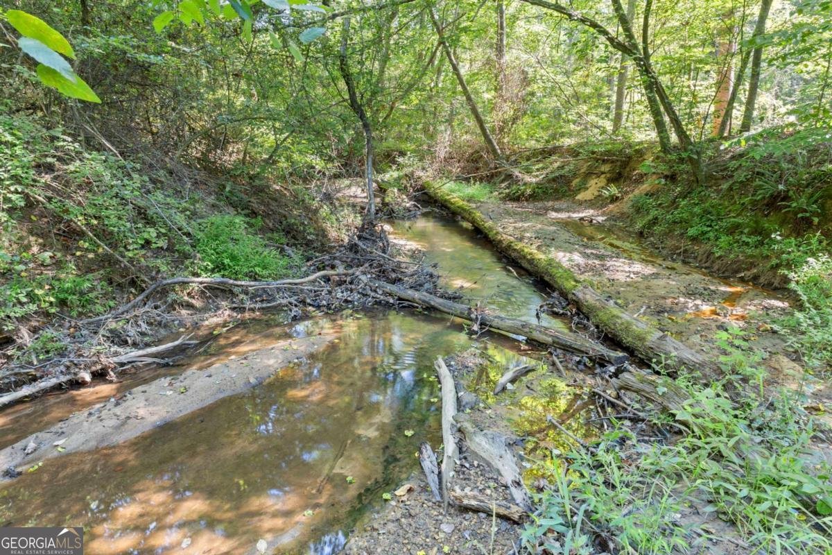 45 Hollow Court Dallas - Photo 50