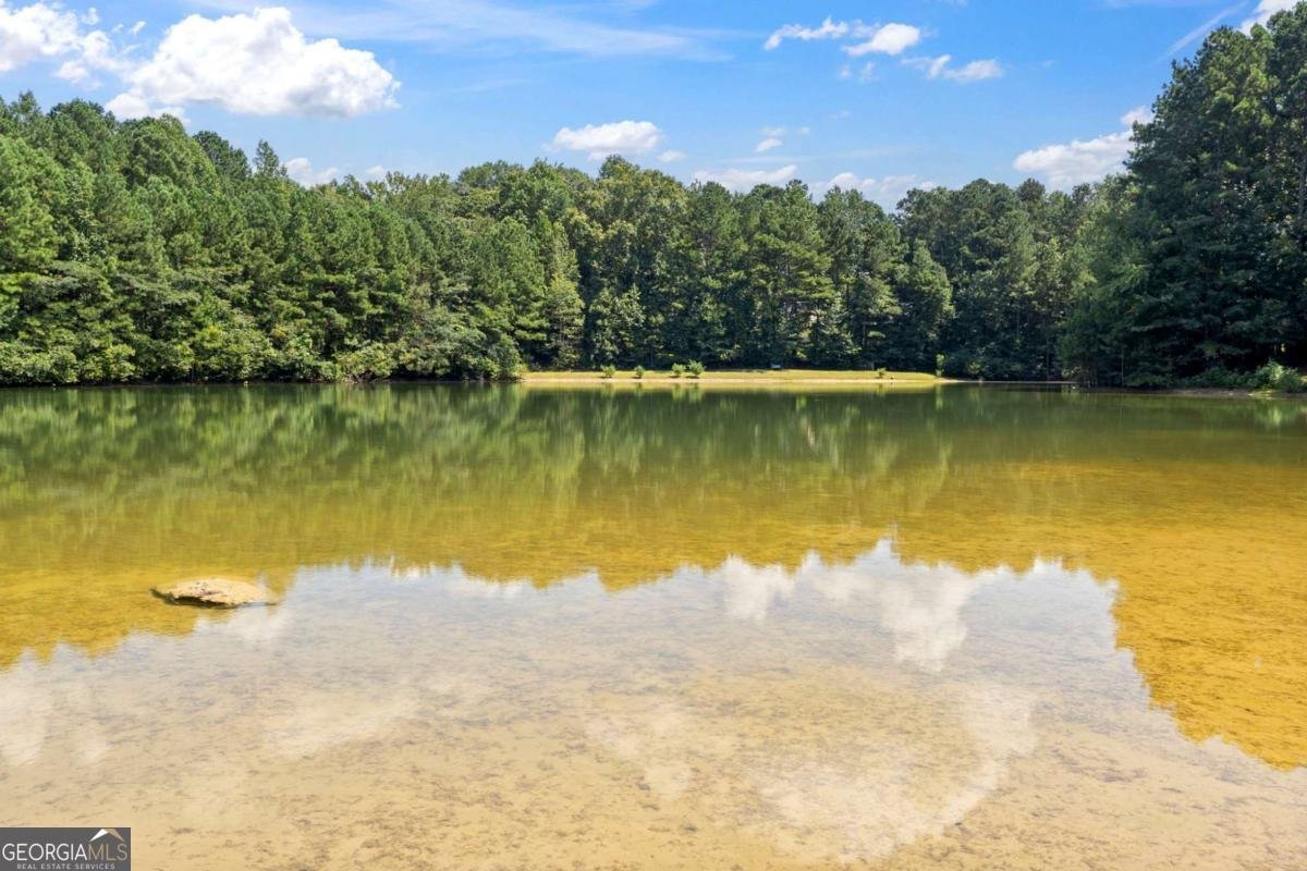 45 Hollow Court Dallas - Photo 61