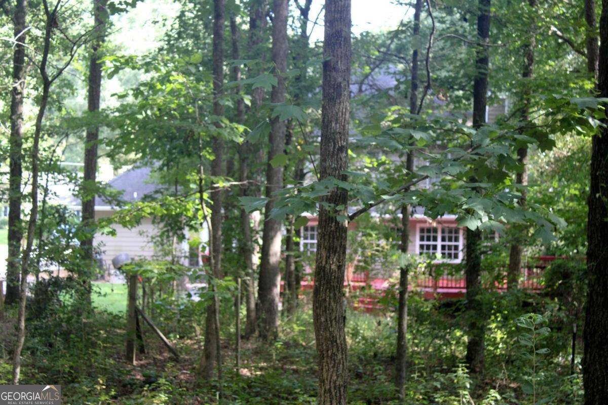 119 Plymouth Drive Lagrange - Photo 59