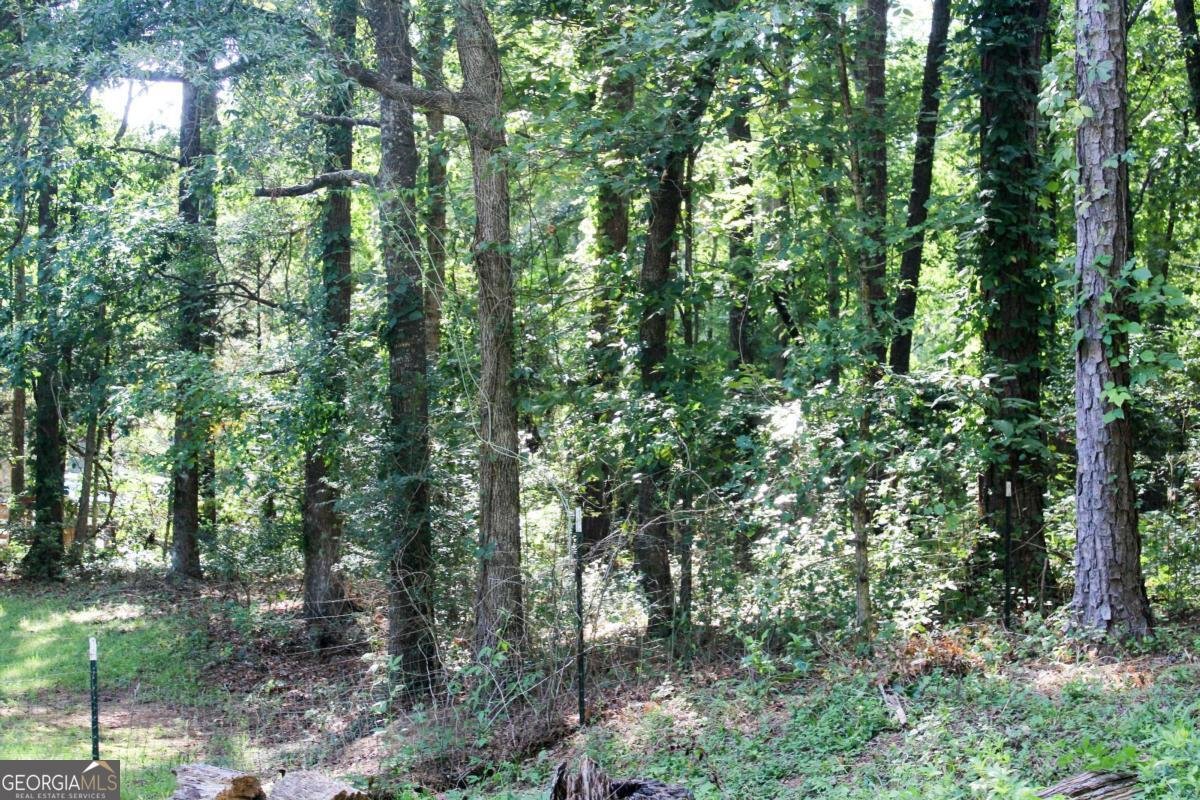 119 Plymouth Drive Lagrange - Photo 62