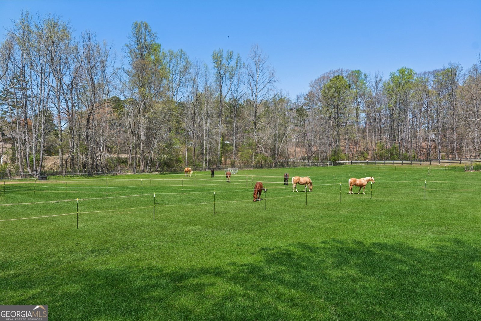 5388 Frazer Road Buford - Photo 50