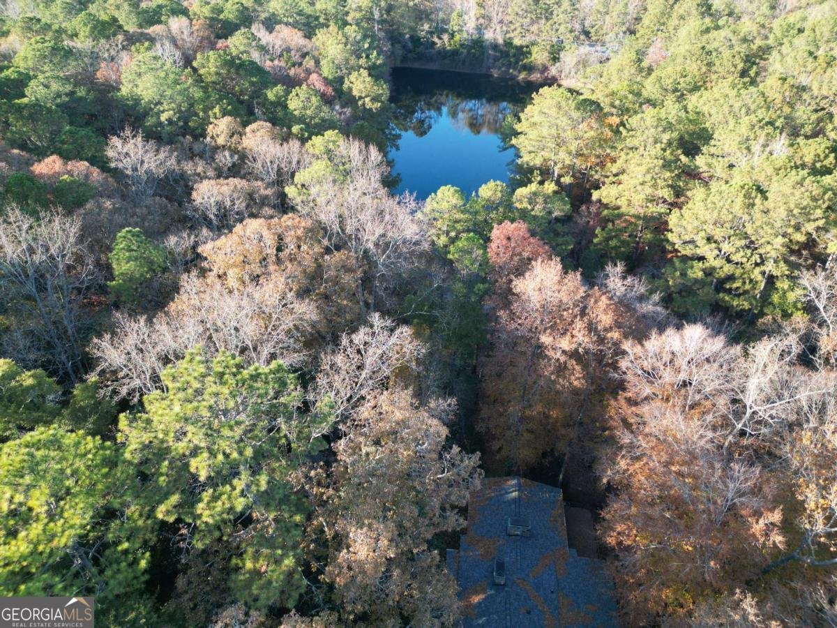 5656 Hamilton Road Pine Mountain - Photo 65