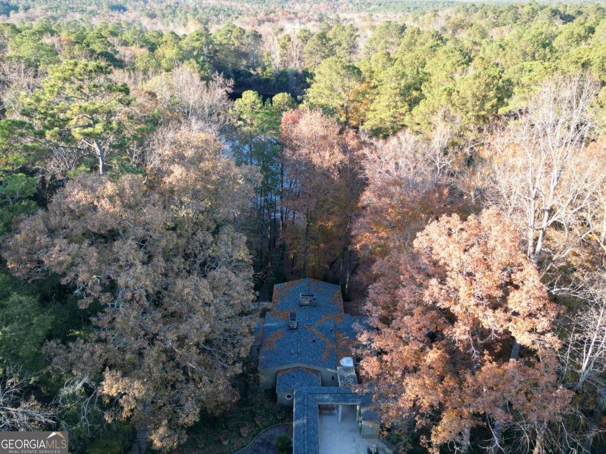 5656 Hamilton Road Pine Mountain - Photo 70