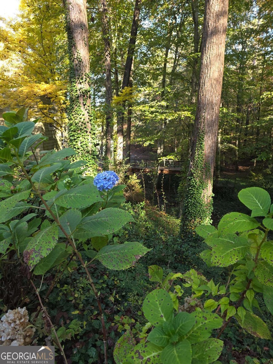 5656 Hamilton Road Pine Mountain - Photo 72