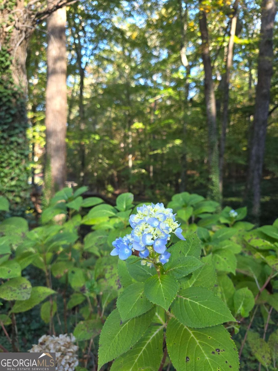 5656 Hamilton Road Pine Mountain - Photo 73