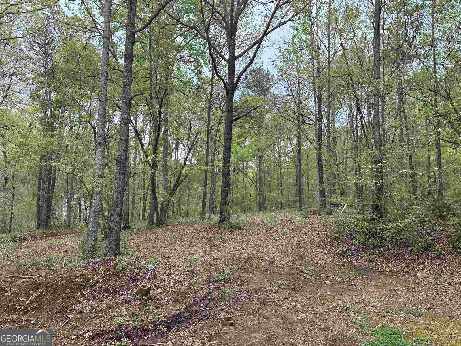 72 Woodfield Road Covington - Photo 6