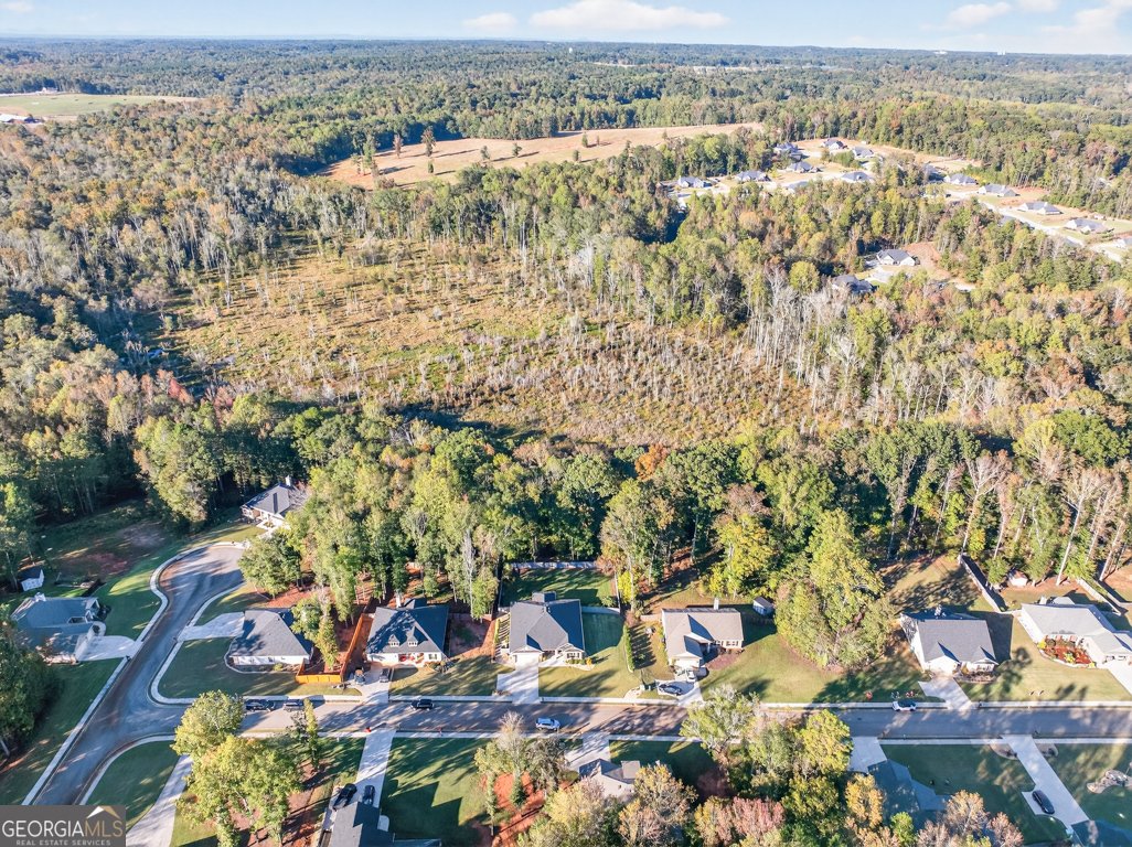 829 River Fall Drive Jefferson - Photo 55