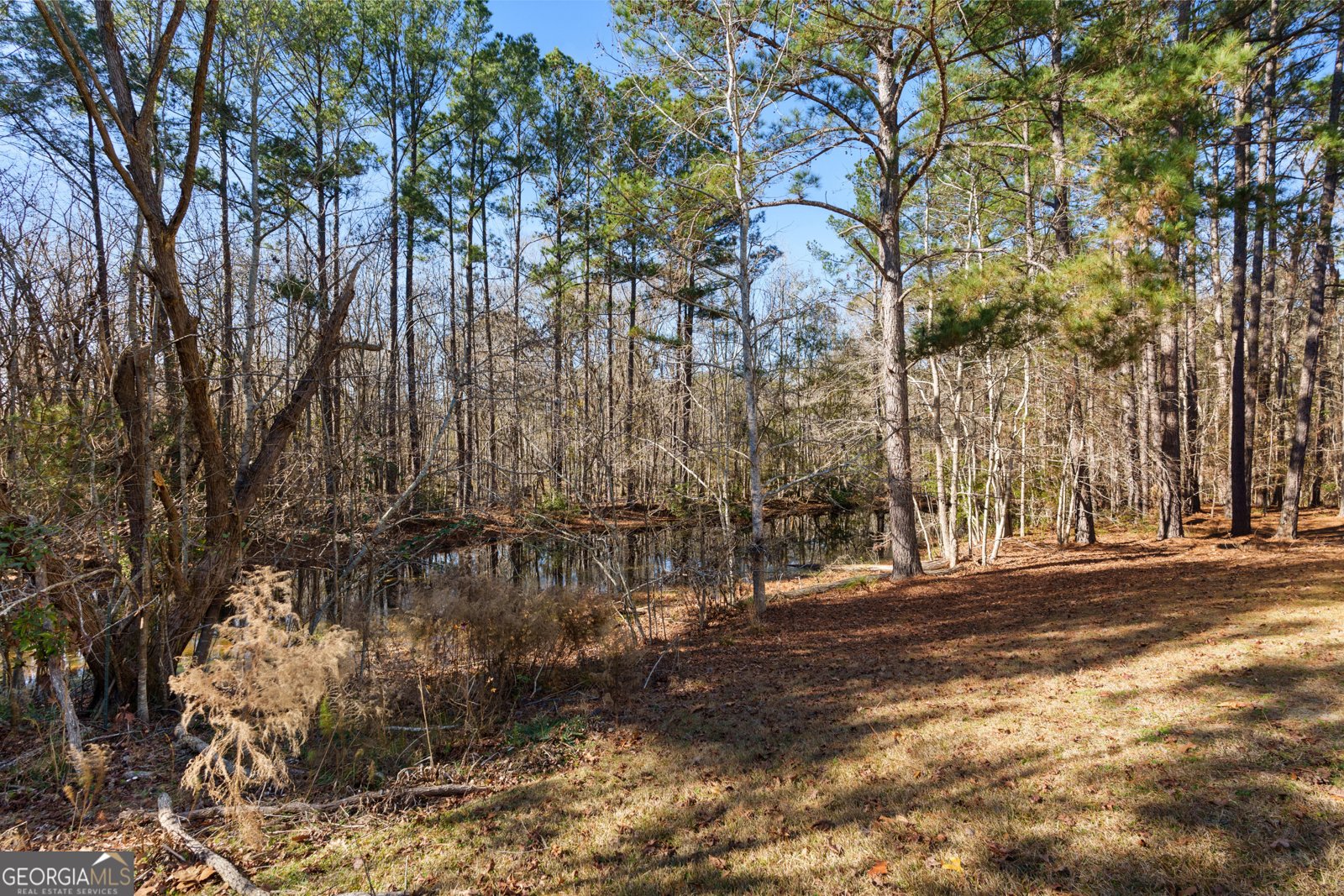 148 Evergreen Drive Statesboro - Photo 26