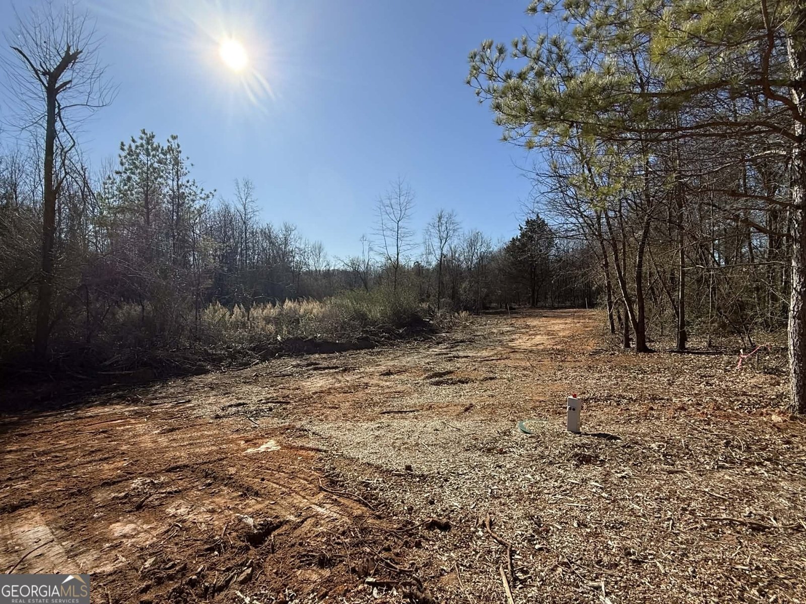 2657 Brickyard Road Dewy Rose - Photo 14