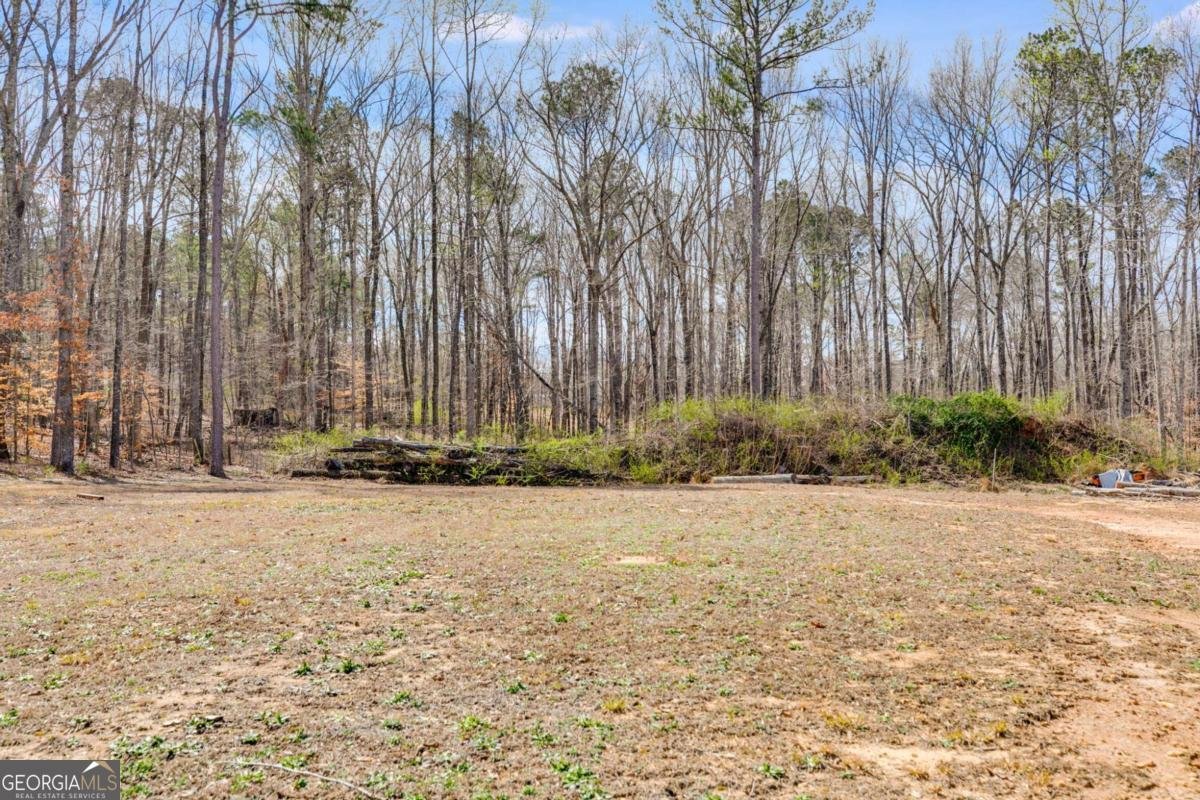 118 Raven Road Villa Rica - Photo 51