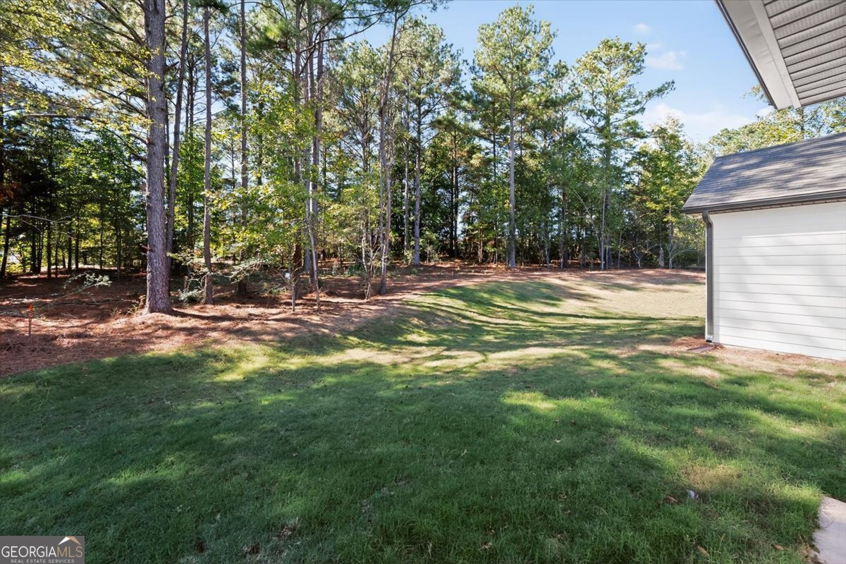 205 Barnett Lane Thomaston - Photo 43