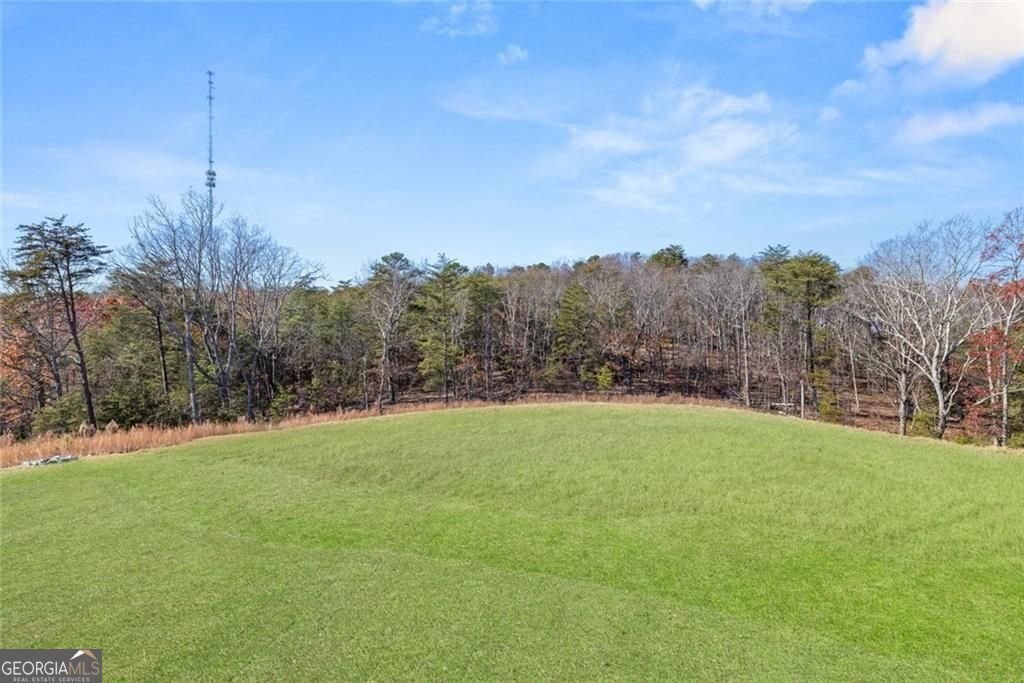 236 Laurel Vista Drive Canton - Photo 26