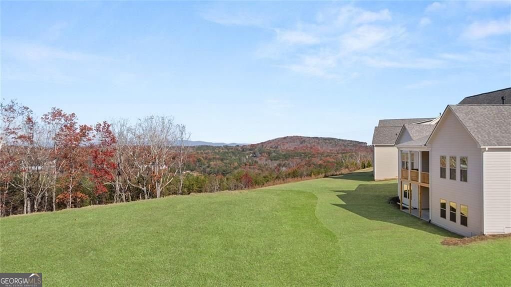 236 Laurel Vista Drive Canton - Photo 59