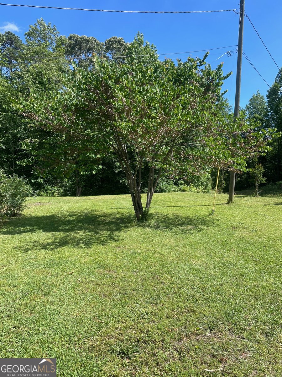 215 Old Mize Road Toccoa - Photo 34