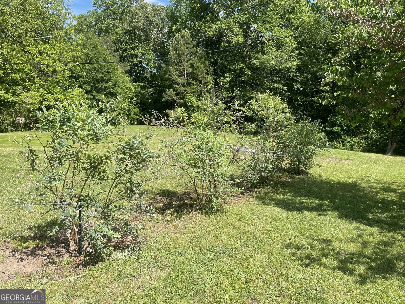 215 Old Mize Road Toccoa - Photo 35