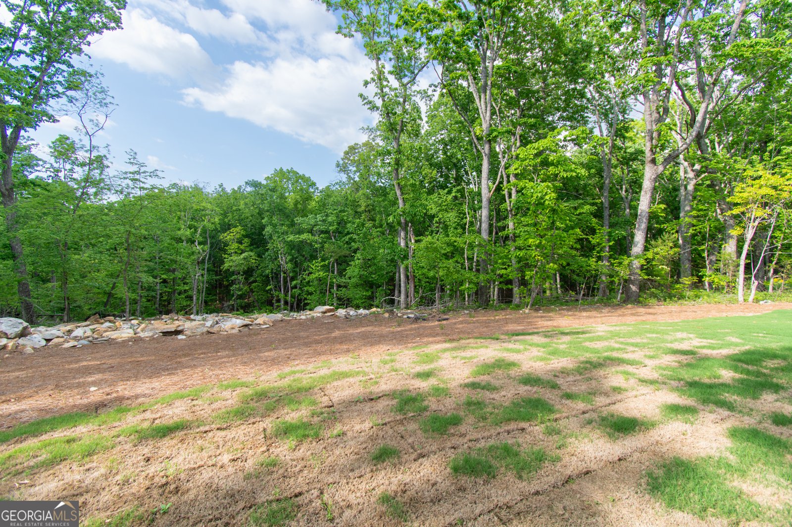 386 Mulberry Circle Jasper - Photo 63