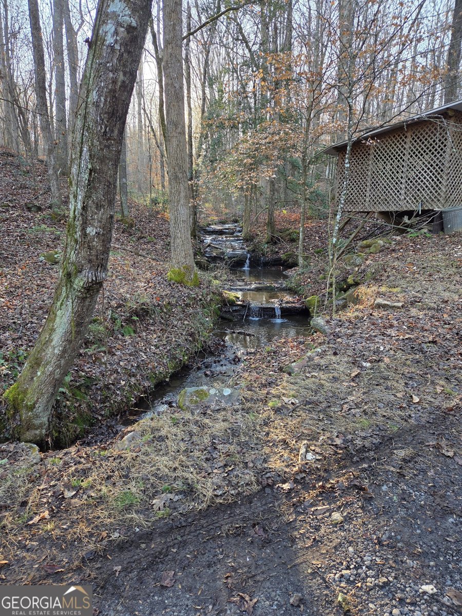 408 Apple Ridge 1 Dawsonville - Photo 25