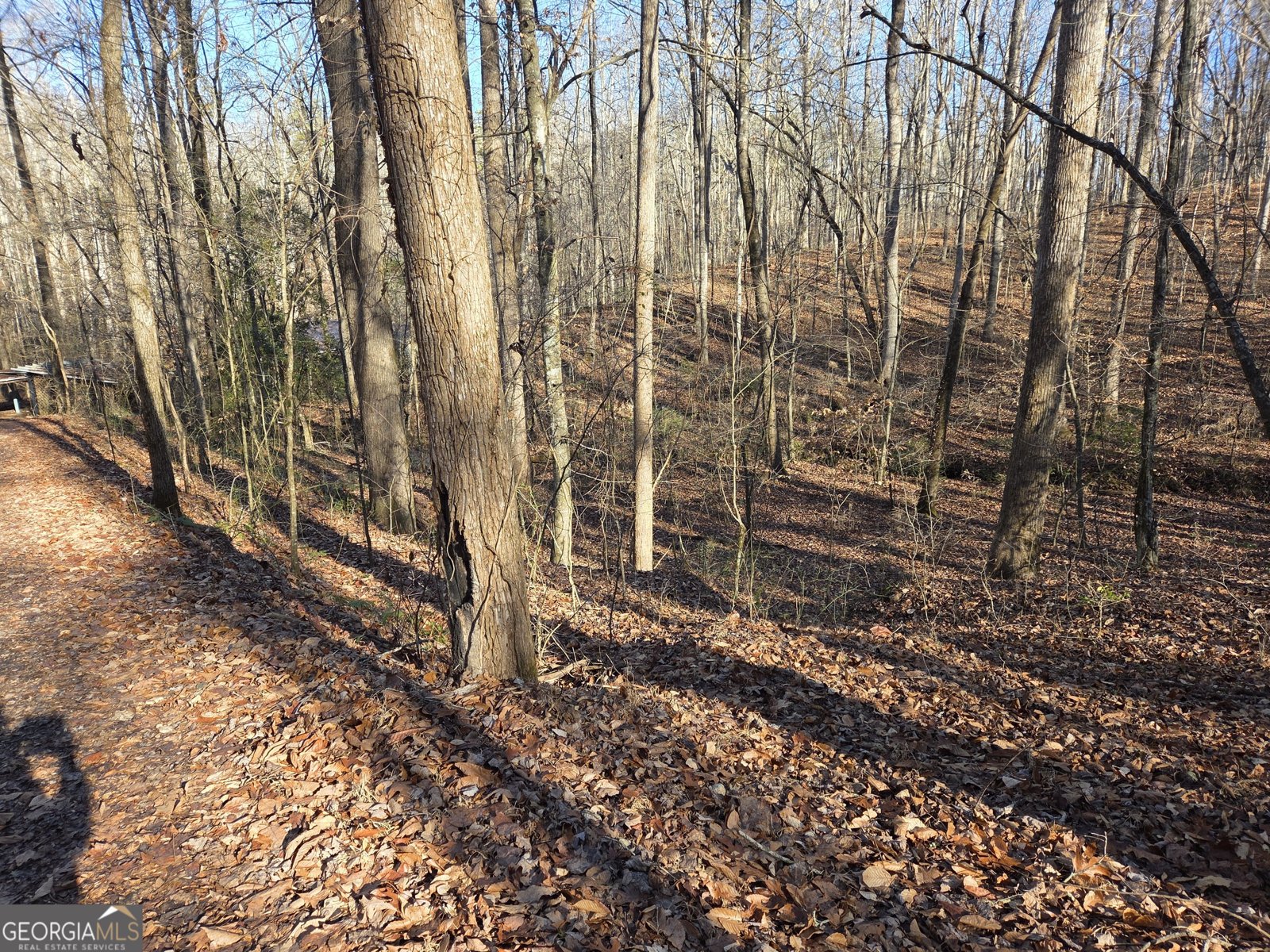 408 Apple Ridge 1 Dawsonville - Photo 28