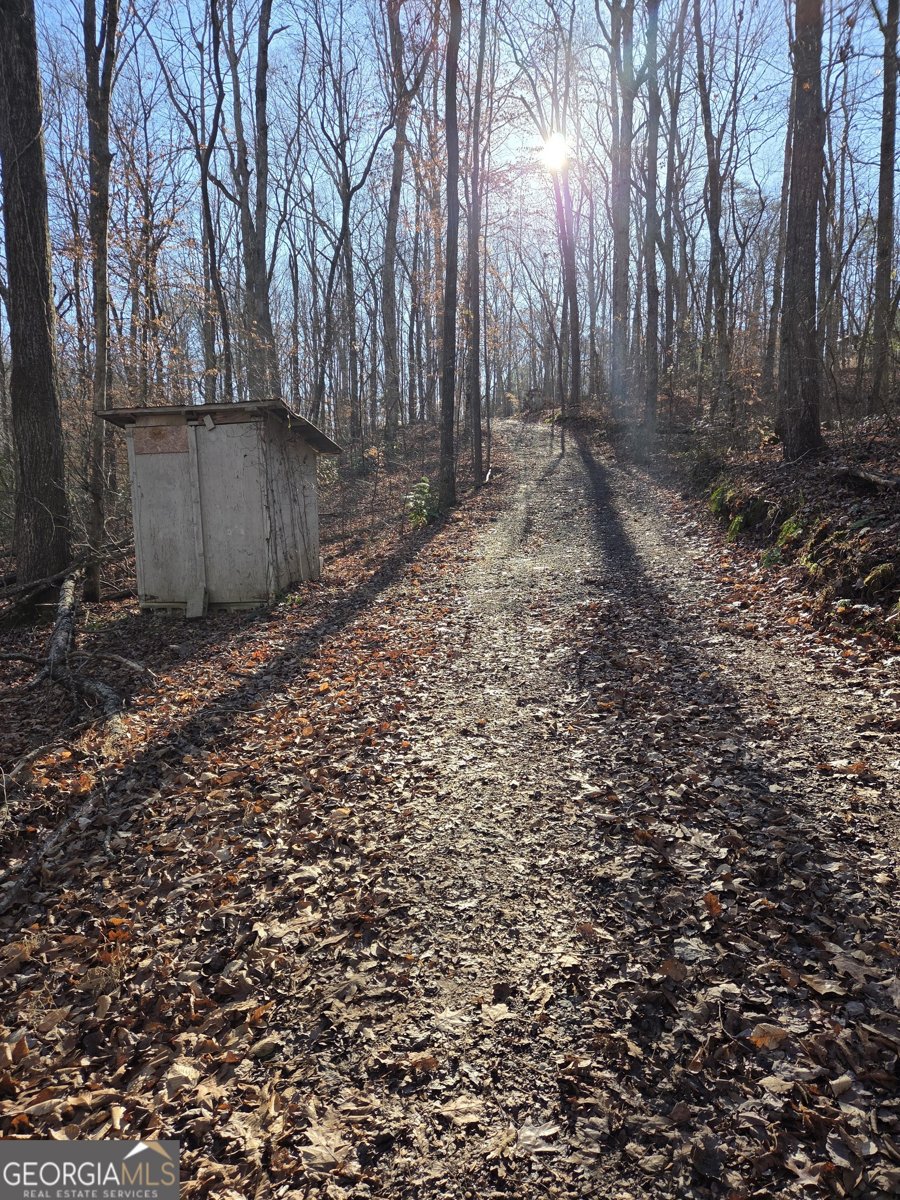 408 Apple Ridge 1 Dawsonville - Photo 31