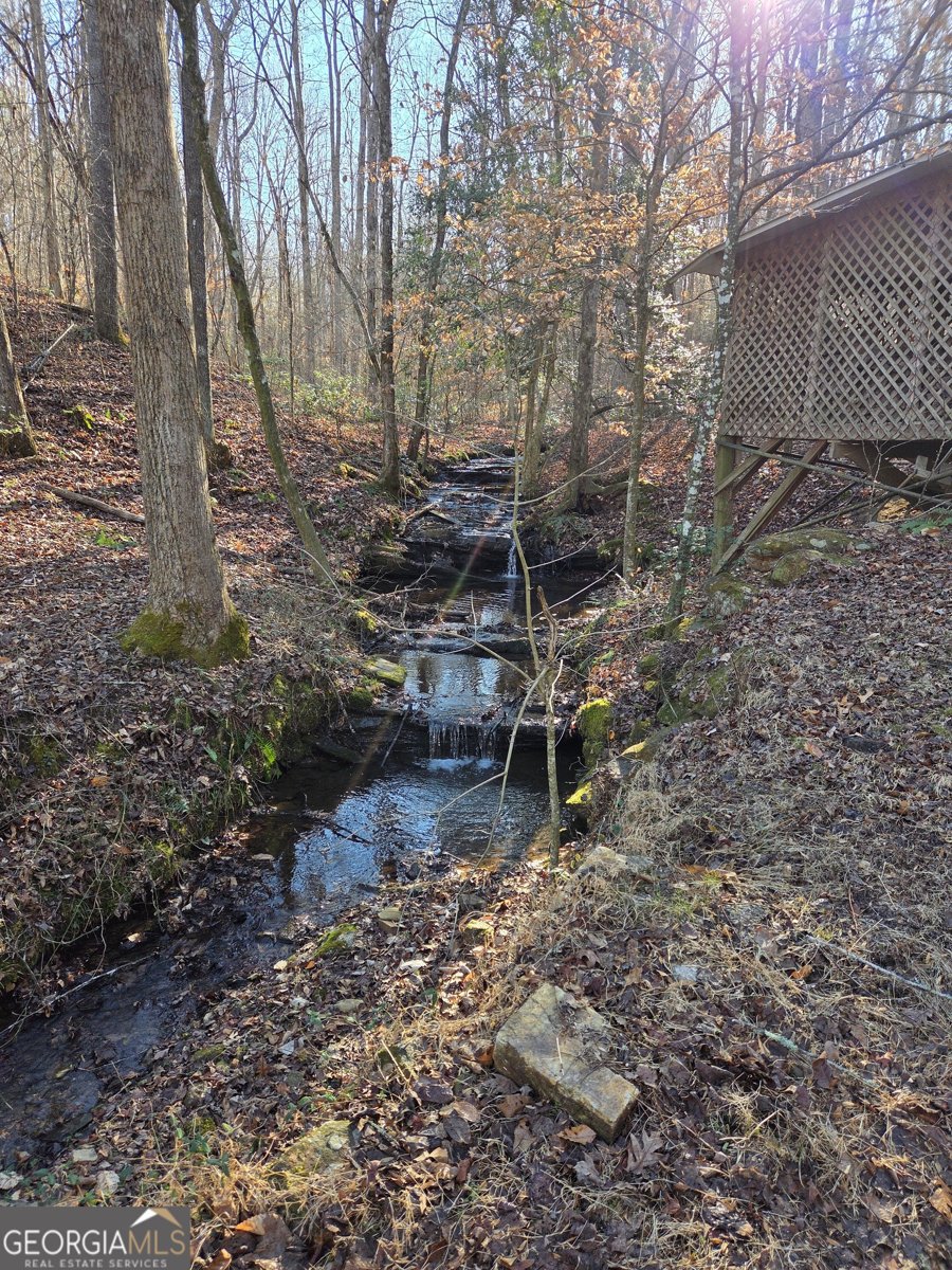 408 Apple Ridge 1 Dawsonville - Photo 32