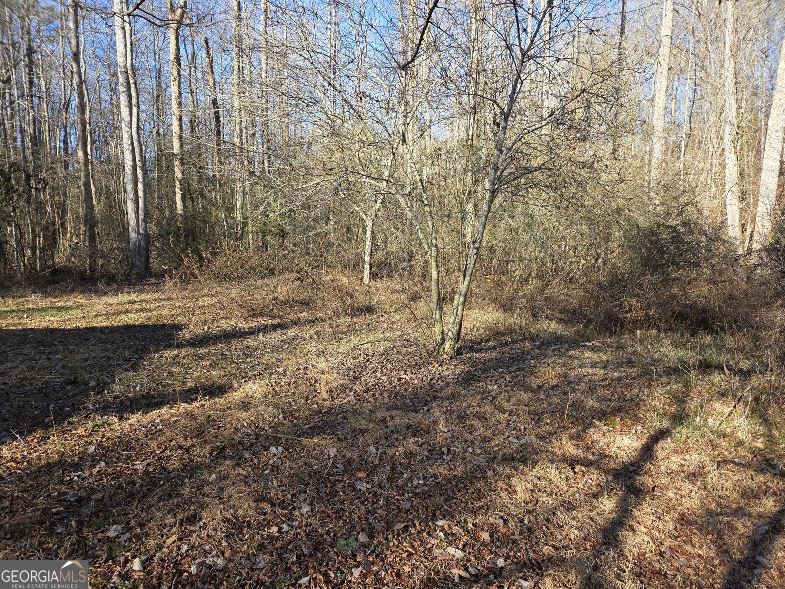 408 Apple Ridge 1 Dawsonville - Photo 34