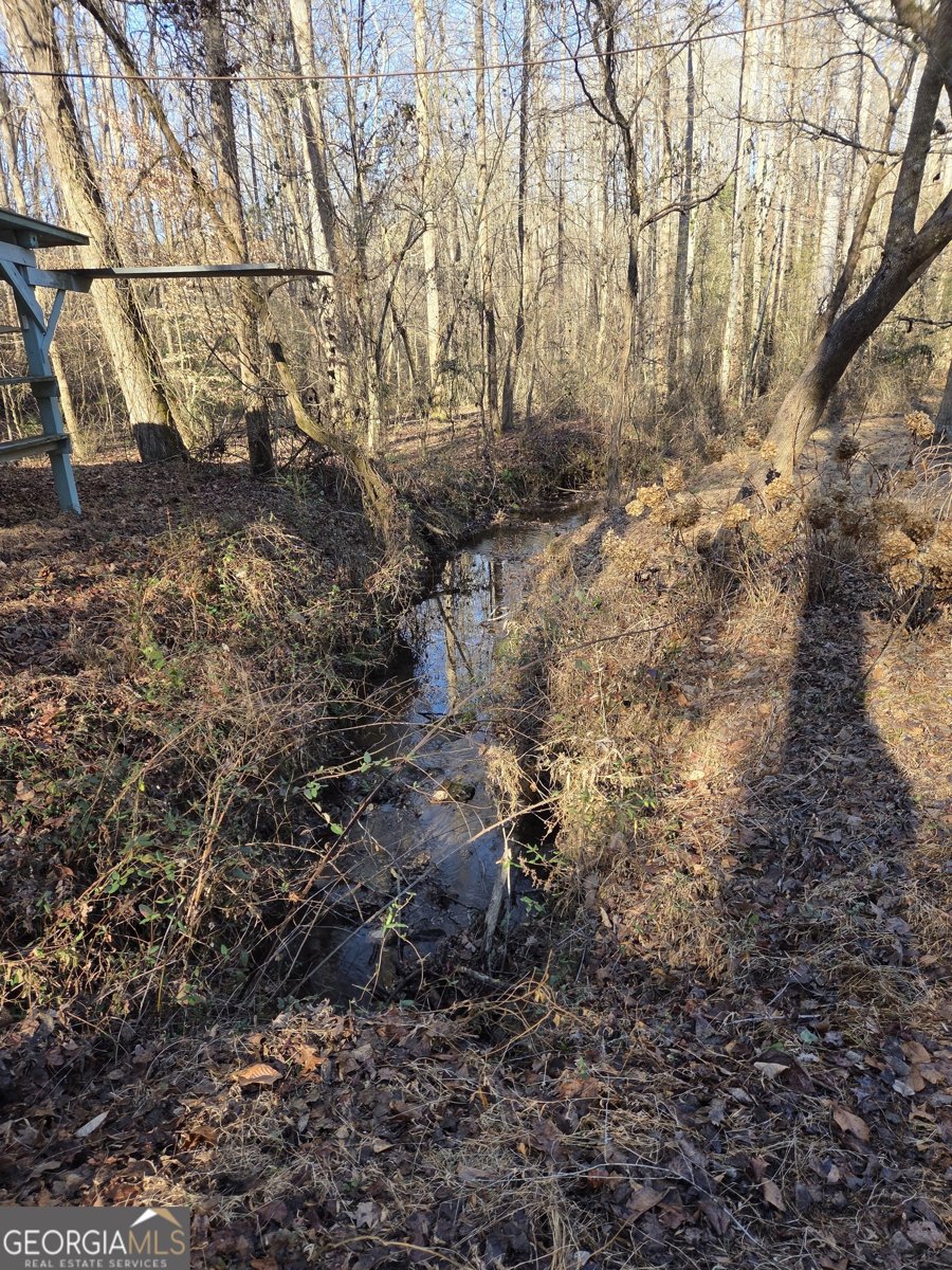 408 Apple Ridge 1 Dawsonville - Photo 38