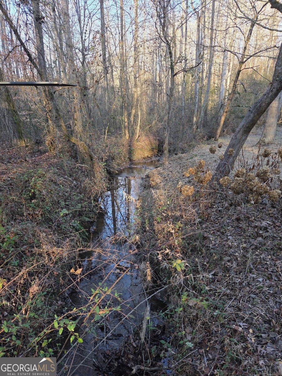 408 Apple Ridge 1 Dawsonville - Photo 39