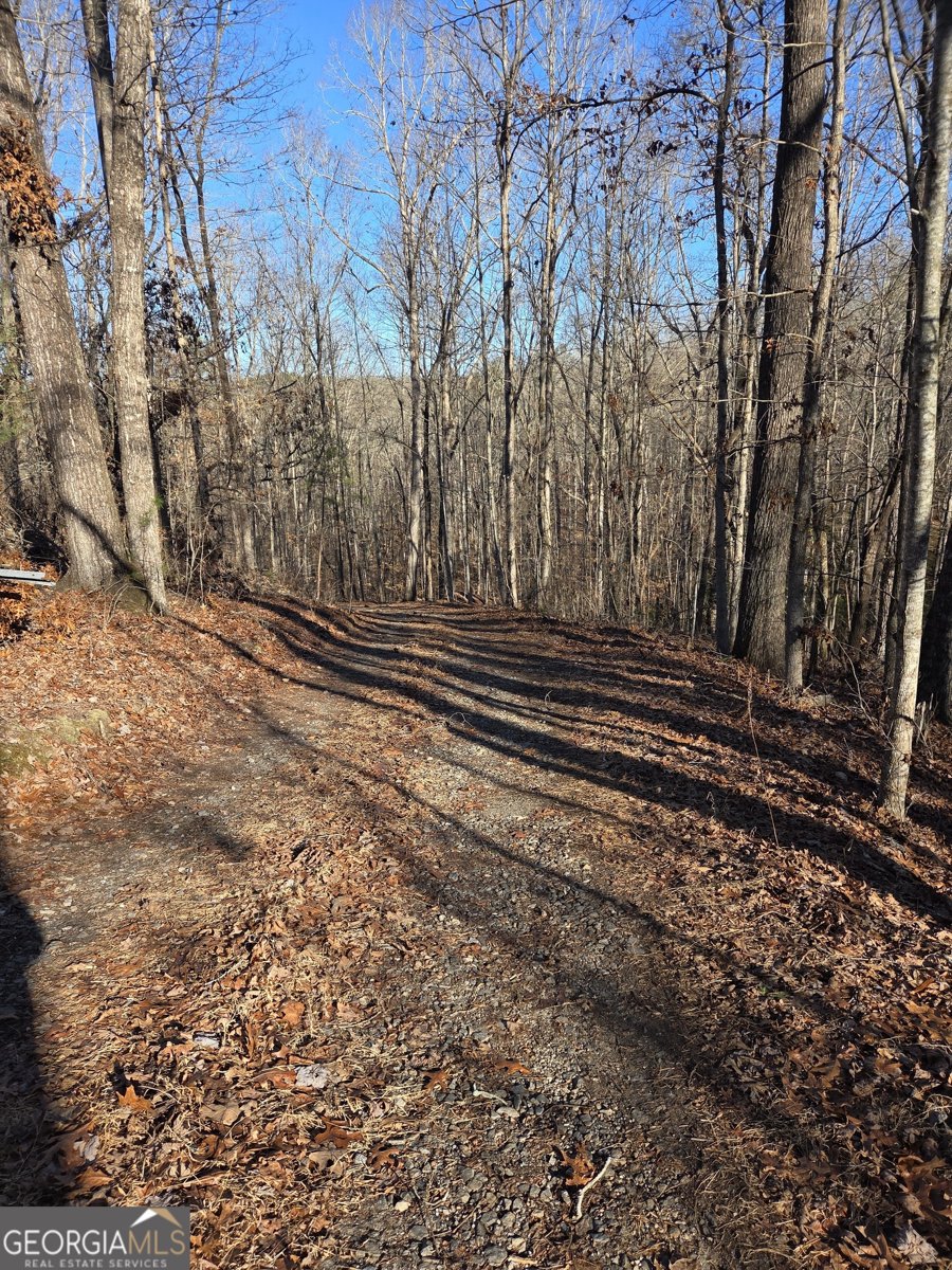 408 Apple Ridge 1 Dawsonville - Photo 8