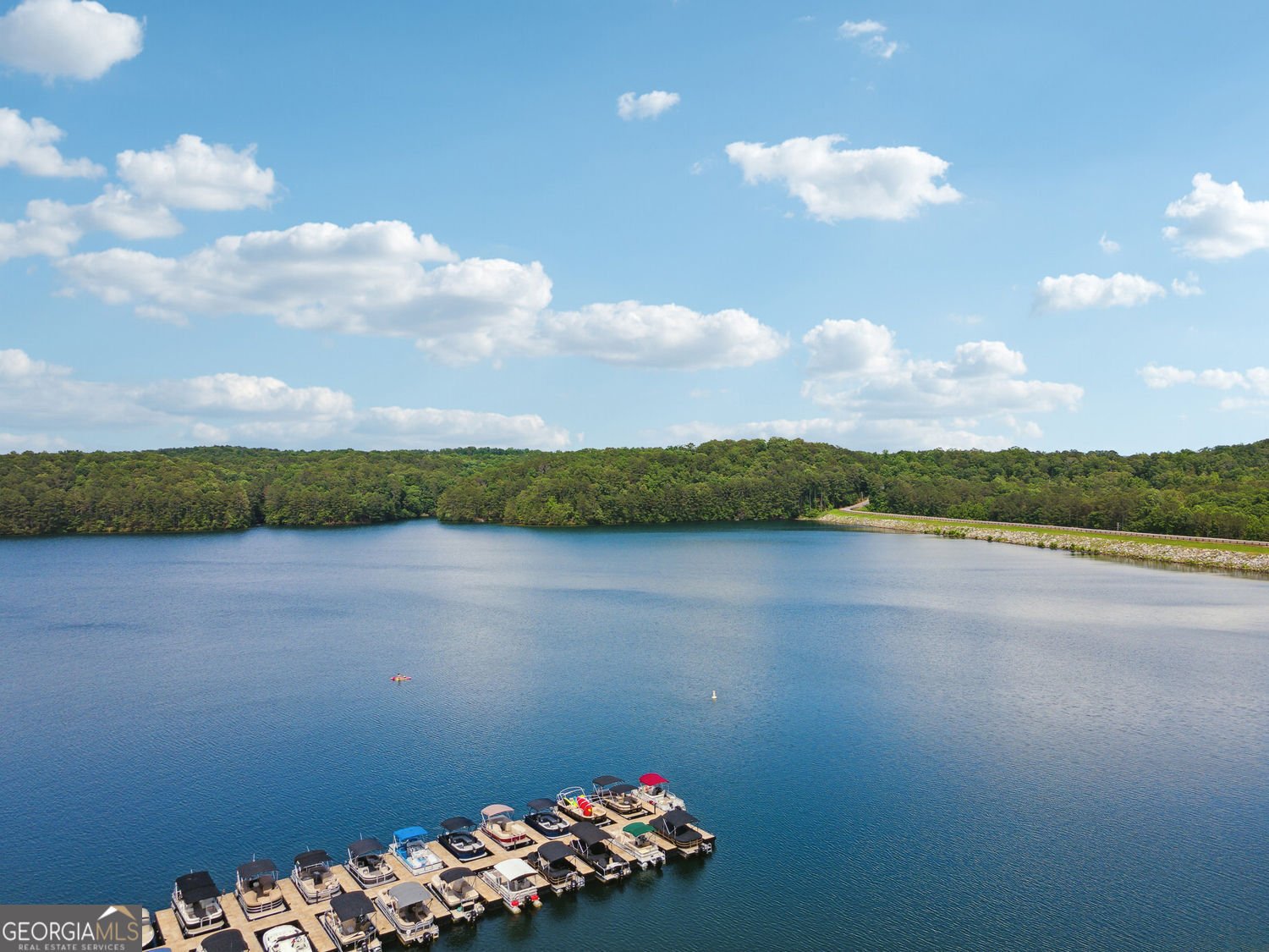 114 Mink Court Waleska - Photo 27