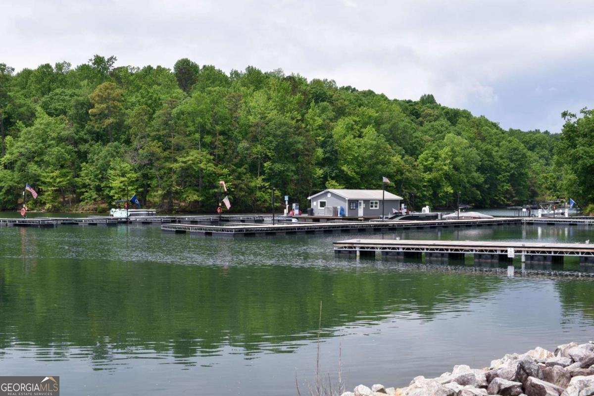 6616 Splashwater Drive Flowery Branch - Photo 58