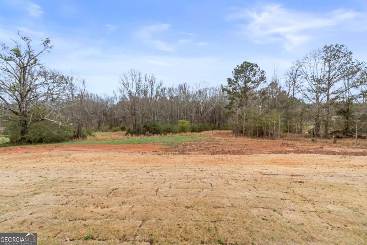 105 River Meadow Lane Social Circle - Photo 64