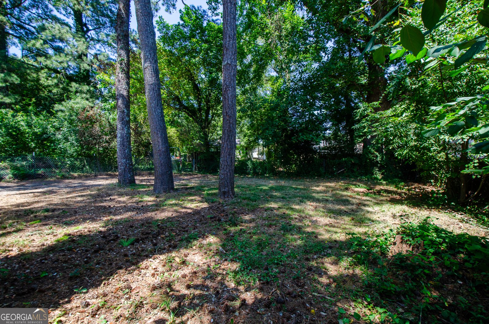 4244 Lindsey Drive Decatur - Photo 10