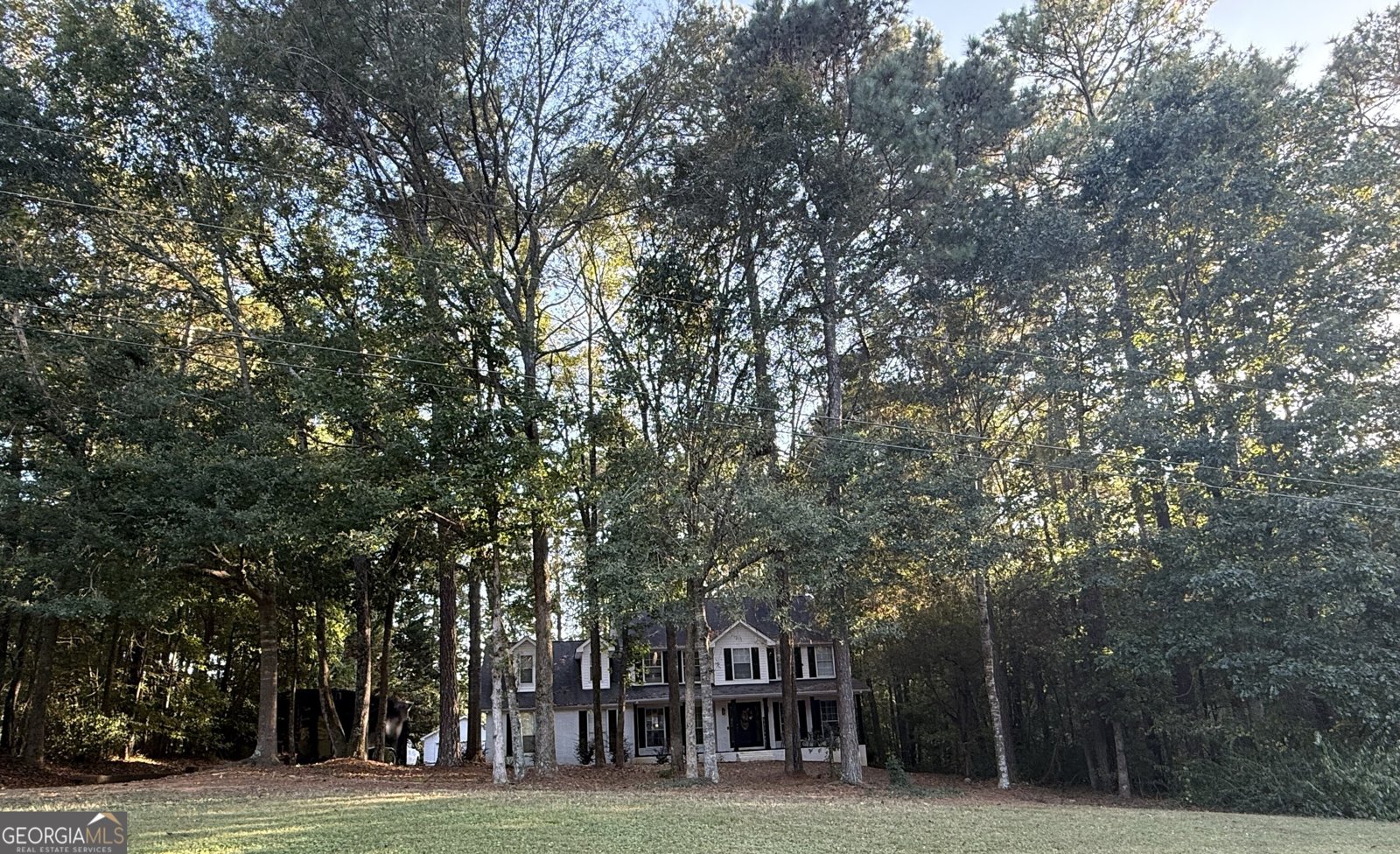 38 The Farm Road McDonough - Photo 27