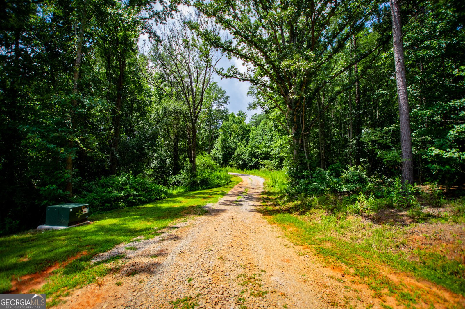 200 Duck Pond Road Roopville - Photo 39