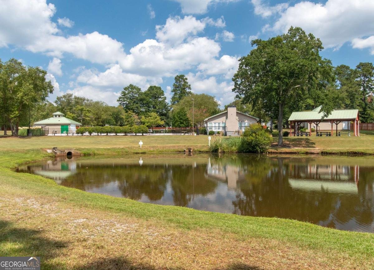 196 Olmstead Court Fayetteville - Photo 43