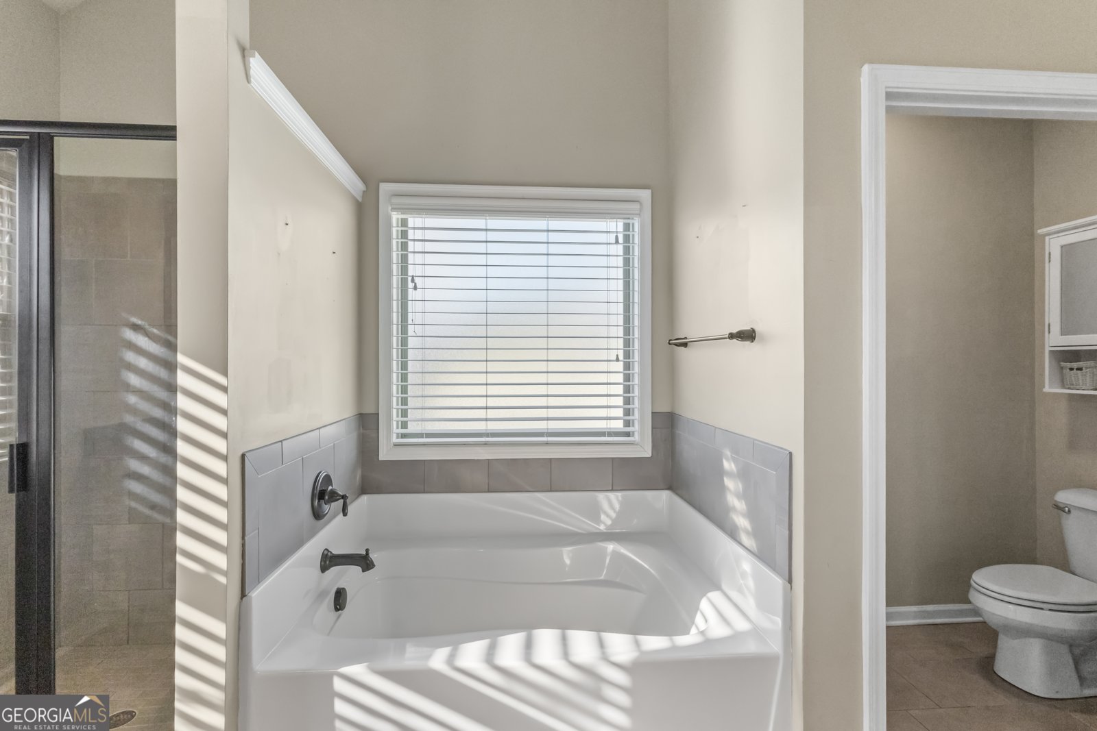 100 Wet Stone Road Senoia - Photo 18