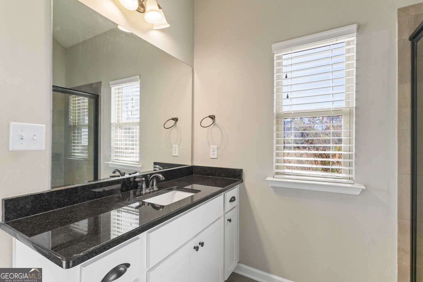 100 Wet Stone Road Senoia - Photo 23