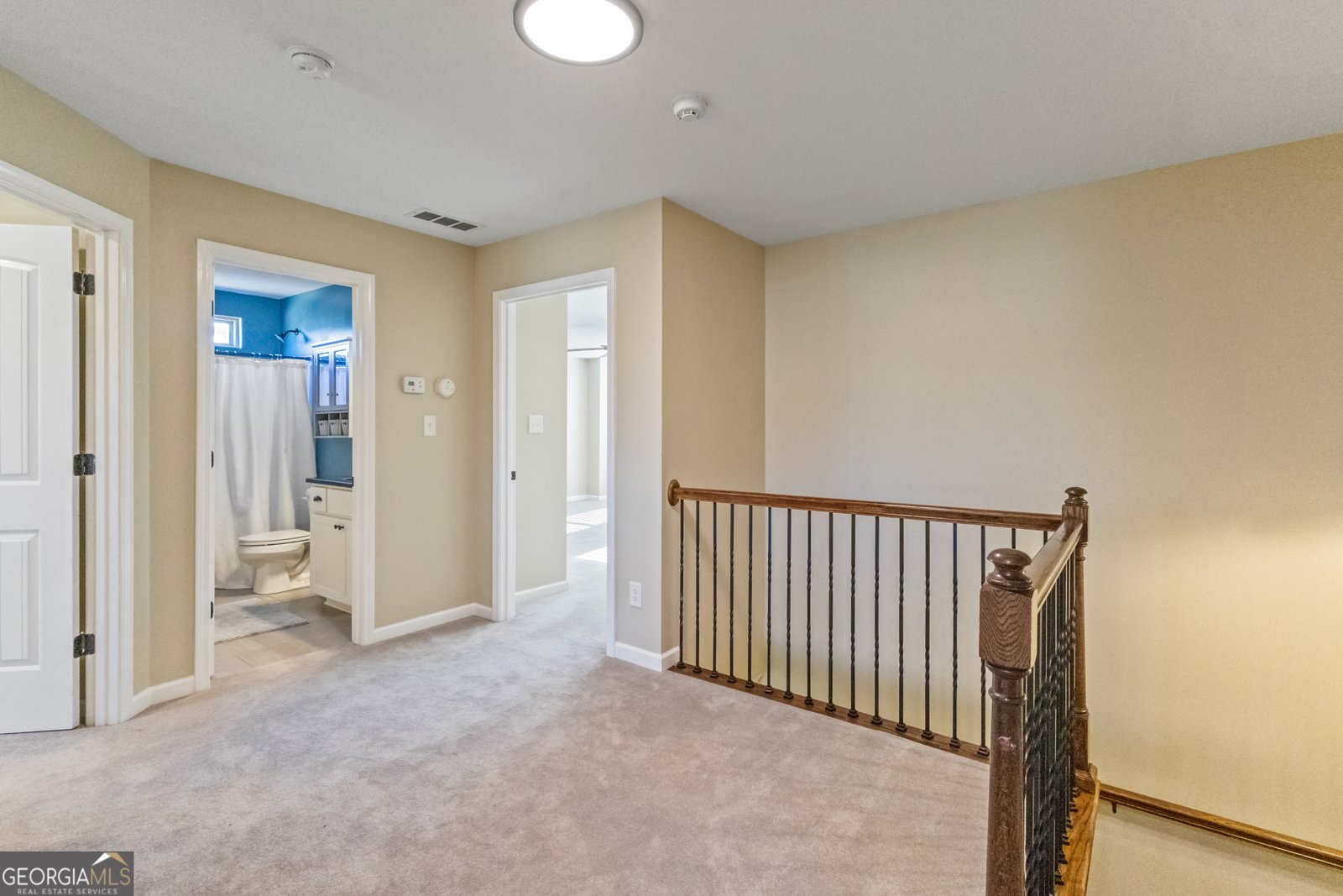 100 Wet Stone Road Senoia - Photo 39