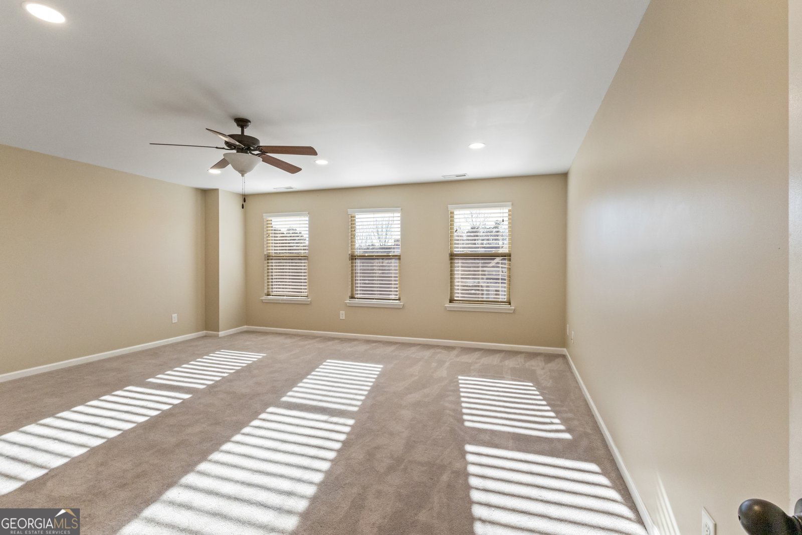 100 Wet Stone Road Senoia - Photo 47