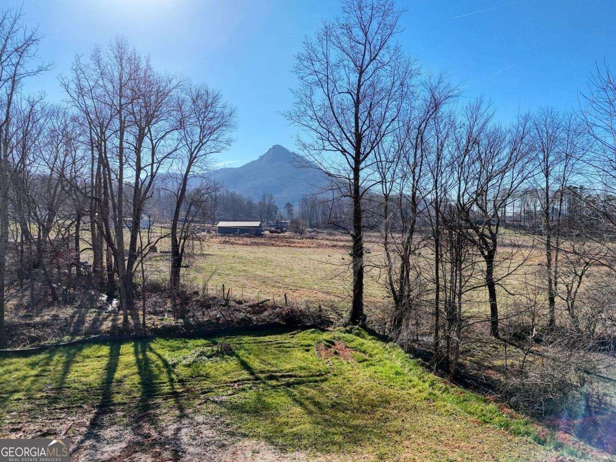 2045 Upper Bell Creek Road Hiawassee - Photo 37