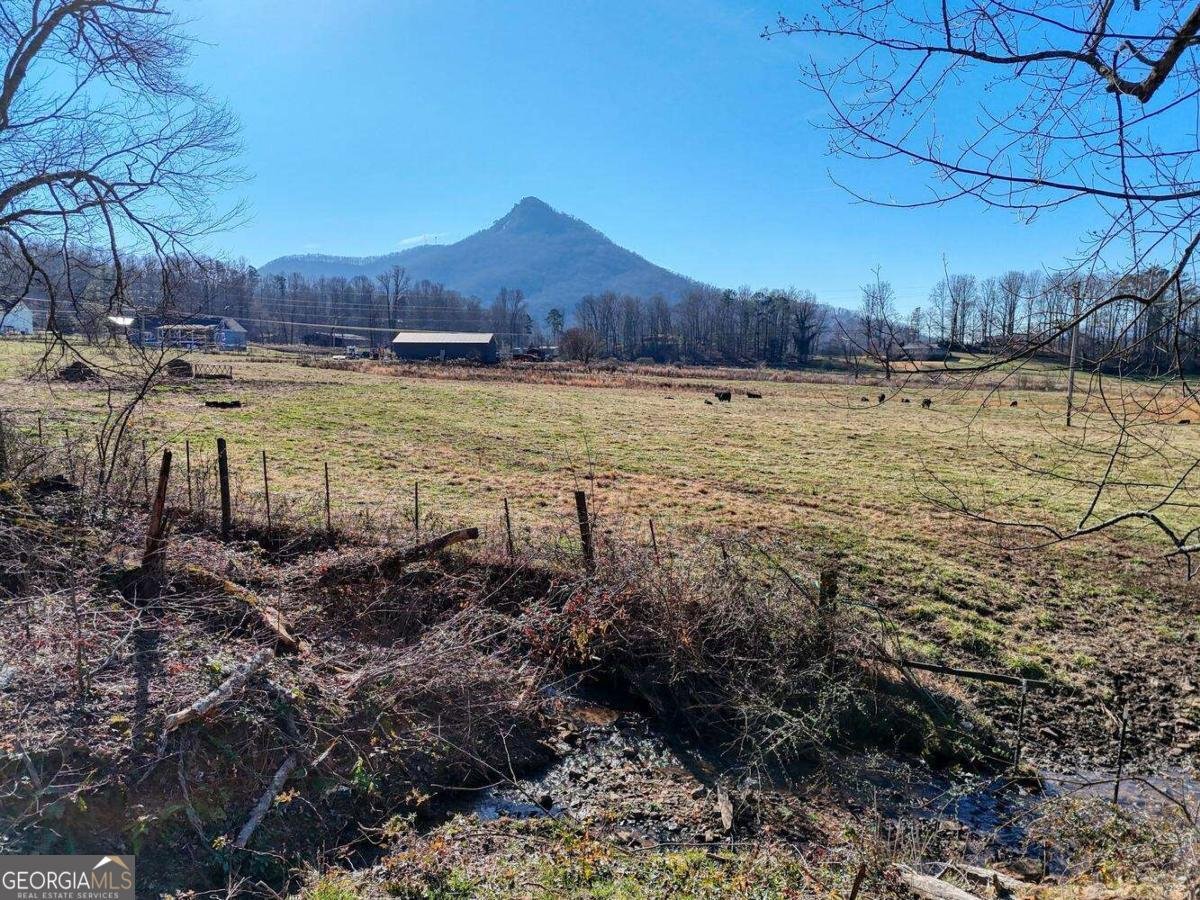 2045 Upper Bell Creek Road Hiawassee - Photo 38