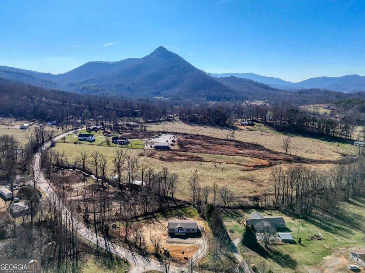 2045 Upper Bell Creek Road Hiawassee - Photo 46